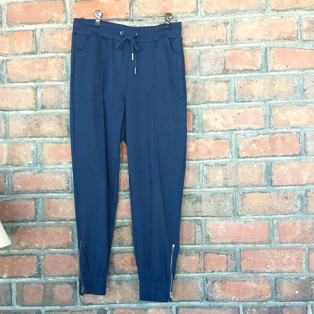 Banana Republic navy joggers